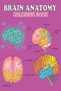 Brain Anatomy Coloring Book