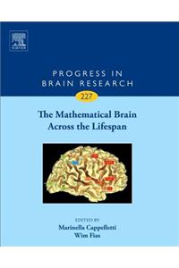 Mathematical Brain Across the Lifespan