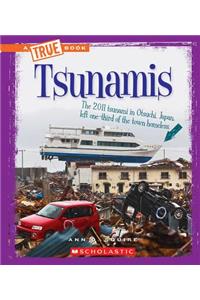Tsunamis (a True Book: Extreme Earth)
