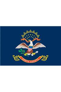 North Dakota Flag Poster