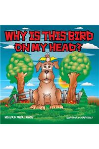 Why Is This Bird On My Head?