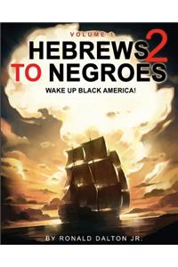 Hebrews to Negroes 2