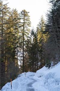 Snow Packed Mountain Road on a Sunny Day Journal