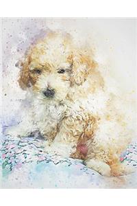 2019-2020 Academic Planner Weekly and Monthly Shy Dog