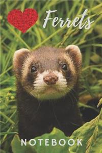 Ferret Notebook