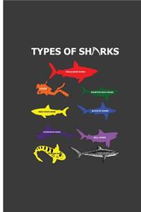 Types Of Sharks