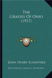 The Grasses Of Ohio (1917)