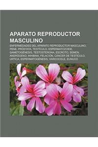 Aparato Reproductor Masculino: Enfermedades del Aparato Reproductor Masculino, Pene, Prostata, Testiculo, Espermatozoide, Gametogenesis