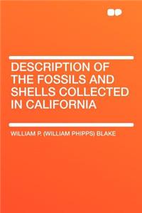Description of the Fossils and Shells Collected in California