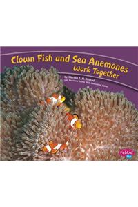 Clown Fish and Sea Anemones Work Together