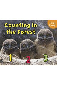 Counting in the Forest