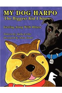 My Dog Harpo the Biggest Kid I Know
