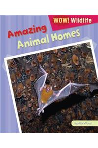 Amazing Animal Homes