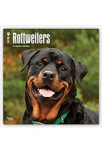Rottweilers 2018 Calendar