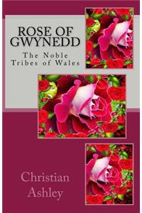 Rose of Gwynedd