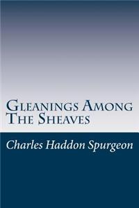 Gleanings Among The Sheaves