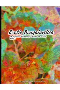 Exotic Bougainvillea 24 Digitized Photography Prints in a Book Book 3