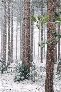 Woods in Winter Journal