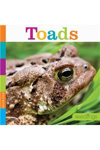 Toads