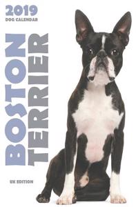 Boston Terrier 2019 Dog Calendar (UK Edition)