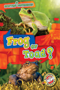 Frog or Toad?