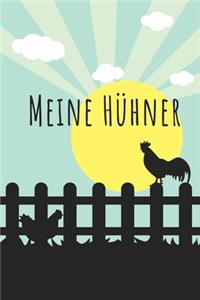 Meine Hühner