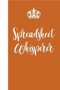 spreadsheet whisperer