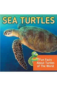 Sea Turtles