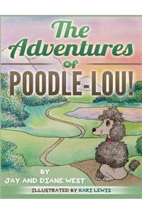 Adventures of Poodle-Lou!