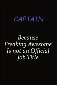 Captain Because Freaking Awesome Is Not An Official Job Title