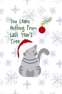 You Learn Nothing From Last Year's Tree