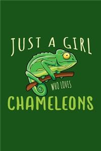 Just A Girl Who Loves Chameleon