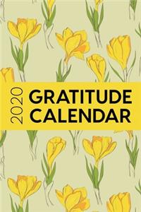 2020 Gratitude Calendar