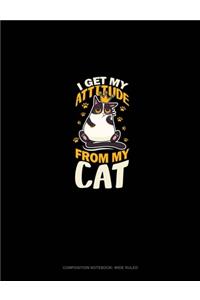 I Get My Attitude From My Cat