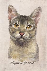 Abyssinian Shorthair Cat Portrait Notebook