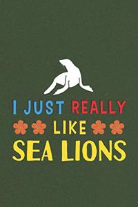 I Just Really Like Sea Lions