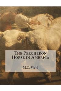 The Percheron Horse in America