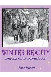 Winter Beauty Grayscale Photo Coloring Book