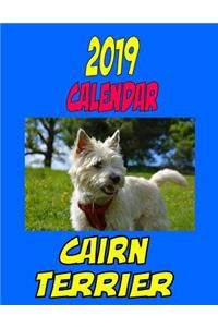 2019 Calendar Cairn Terrier