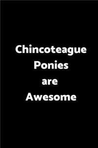 Chincoteague Ponies Are Awesome