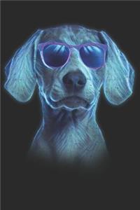 Weimaraner