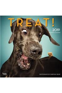 Treat 2019 Square Hachette