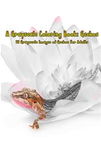 A Grayscale Coloring Book: Geckos: 21 Grayscale Images of Geckos for Adults