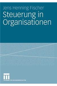 Steuerung in Organisationen