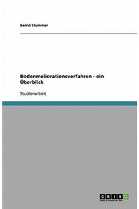 Bodenmeliorationsverfahren - ein Überblick