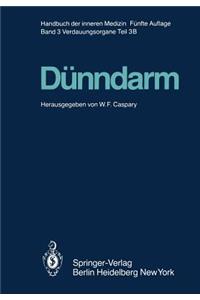 Dünndarm B