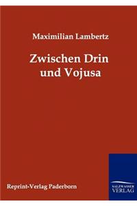 Zwischen Drin und Vojusa