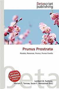 Prunus Prostrata