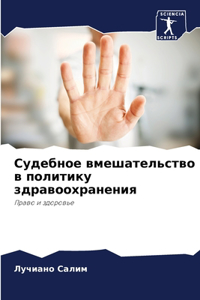 Судебное вмешательство в политику здраво