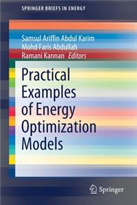 Practical Examples of Energy Optimization Models